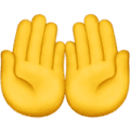 Palms Up Emoji